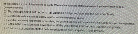 Solved The meristem is a type of tissue found in plants. | Chegg.com