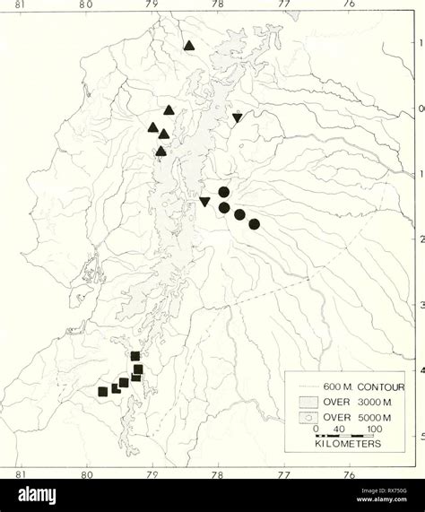 Las Ranas Del G Nero Ecuatoriano Ecuatoriano De Ranas Del G Nero