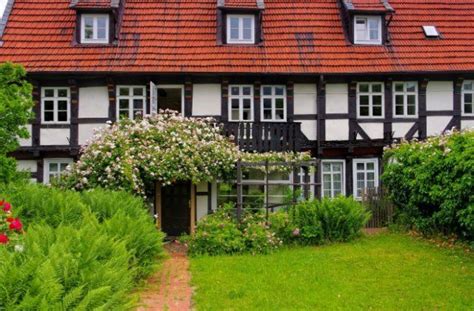 Все, что вам нужно знать о плетистых розах | Outdoor, Garden, Outdoor decor