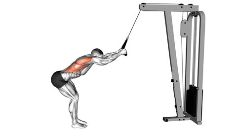 10 Lat Dumbbell Exercises For Building A Stronger Back And Lats