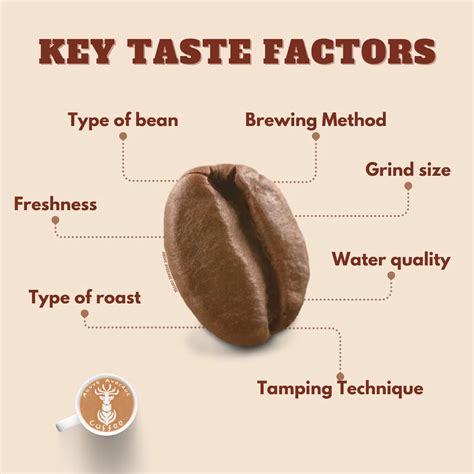 7 Factors That Affect The Taste Of Coffee Above Average Coffee