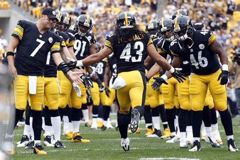 Steelers Troy Polamalu retires from the NFL - Behind the Steel Curtain