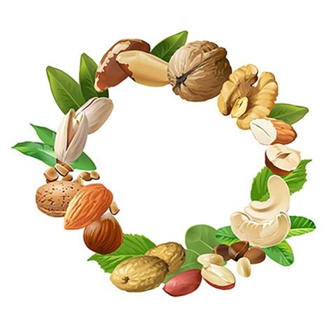 Vector Illustration Of Nuts Nuts Spice Logo Food Backgrounds