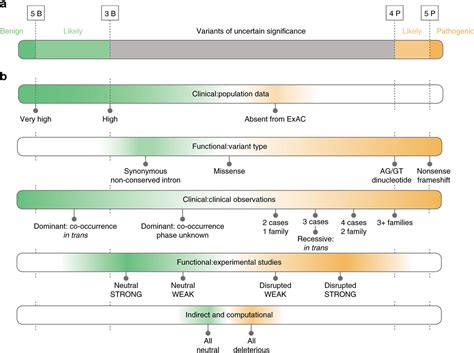 Sherloc A Comprehensive Refinement Of The Acmgamp Variant