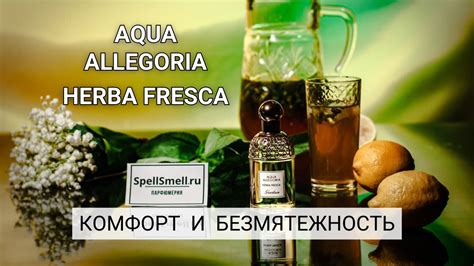 Аква Аллегория Херба Фреска: самый комфортный аромат - YouTube