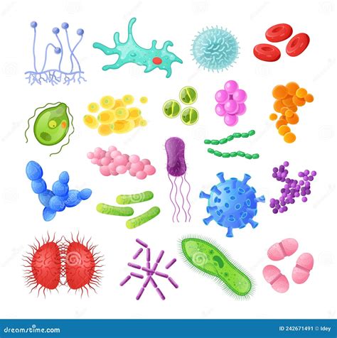 Fungi Cell Vector Illustration | CartoonDealer.com #49947916