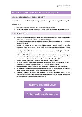 Apuntes Seguridad Social Pdf