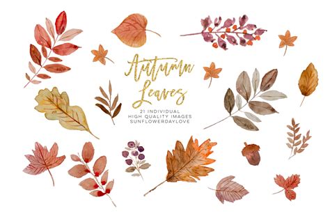 Watercolor Autumn Leaves Clipart Wreath Border Floral Fall Leaves By