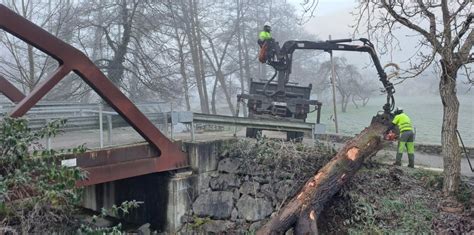 La Confederación inicia los trabajos de conservación en el río Cubia y