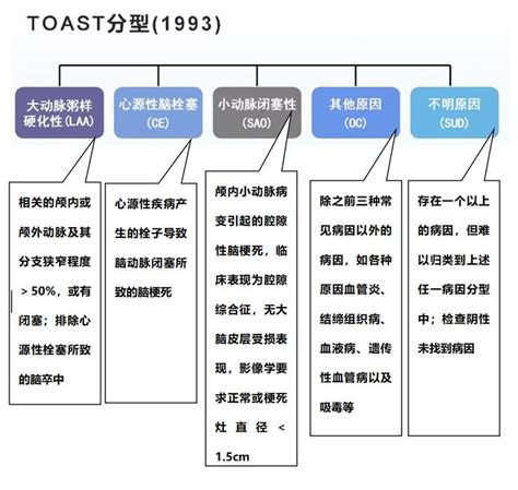 如何通过影像进行卒中分型一文理清 澎湃号湃客 澎湃新闻 The Paper