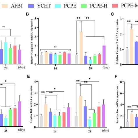 Effect Of Pcpe On Mrna Expressions Of Apoptosis Genes In Liver Of