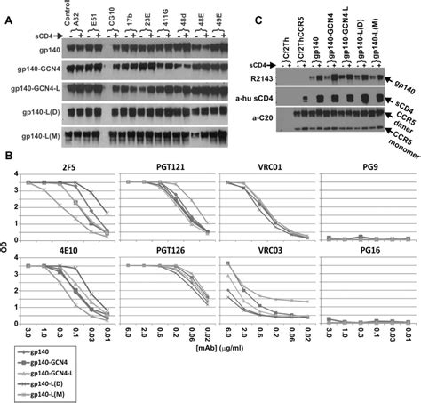 A Reactivity To Cd4i And Cd4 Gp140 Complex Specific Mabs Left Panel