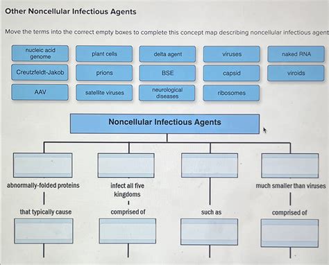 Solved Other Noncellular Infectious AgentsMove The Terms Chegg