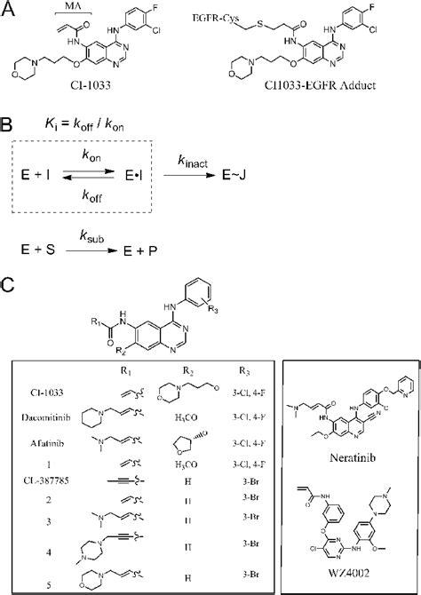 A Chemical Mechanisms Of Irreversible Enzyme Inhibition