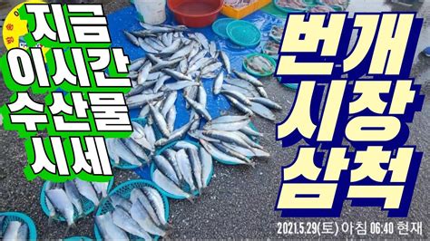 水産市場 삼척번개시장 오늘 5 29 이 시간 수산물 시세 견문록삶0815 Samcheok Beongae fish market