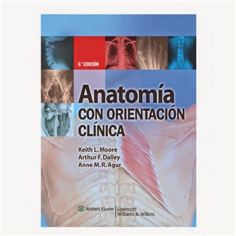 Anatomia Con Orientacion Clinica Moore Edicion Pdf Descargar Gratis