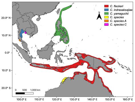 White Spotted Jellyfish Map