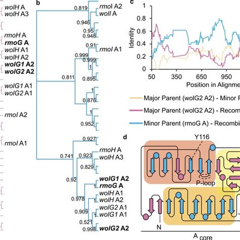 Evidence For The Intragenomic Recombination Of Adenylation Domains A