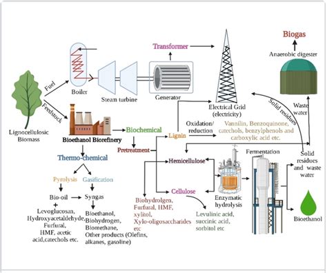 Circular Bioeconomy Biorefinery Approach In Bioethanol Production