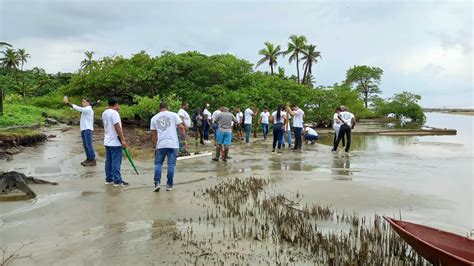 MiAmbiente realiza jornada de reforestación en Colón