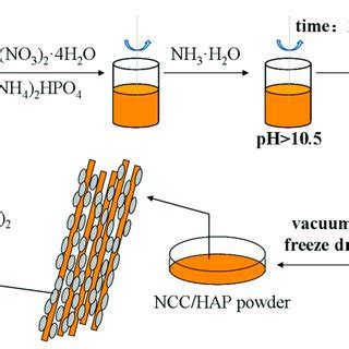 Schematic Diagram Of Nanocellulose Hydroxyapatite NCC HAP Preparation