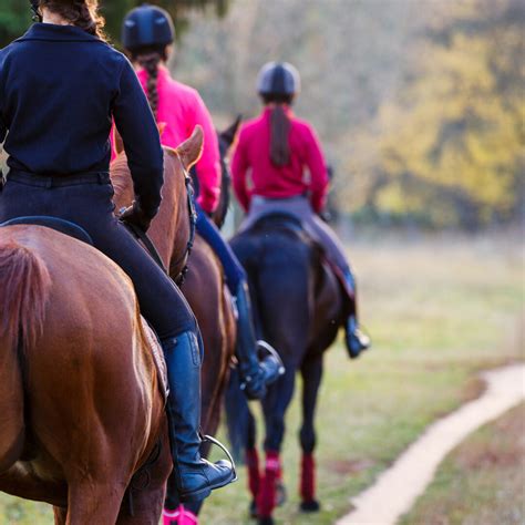 Stop Horse Pawing the Ground: A How To | LearningHorses.com