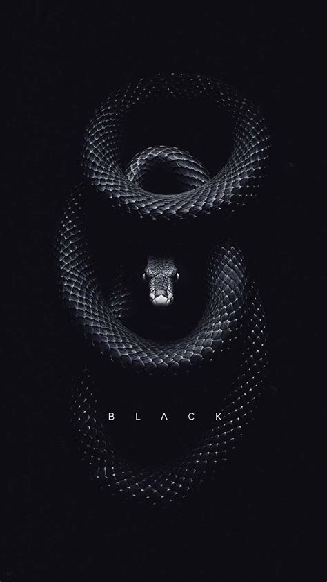 Black Snake iPhone Wallpaper 4K iPhone Wallpapers Wallpaper Download | MOONAZ