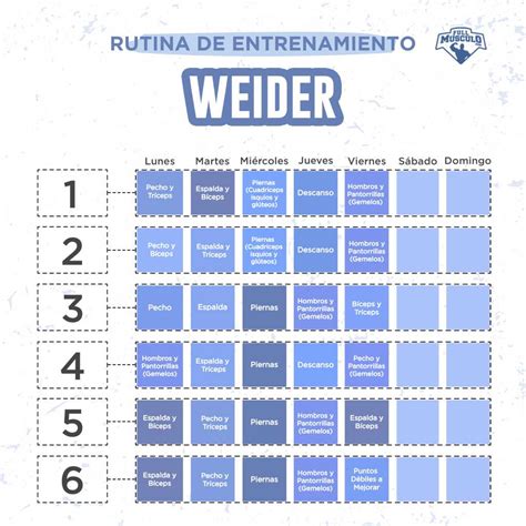 Cómo planificar una rutina Weider de 5 días FullMusculo