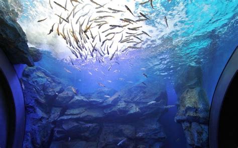 山の水族館（北の大地の水族館） 北見市観光協会