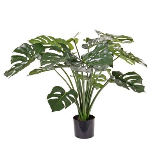 Monstera Deliciosa Hoogte Cm Kunstplant Monstera Deliciosa Kopen