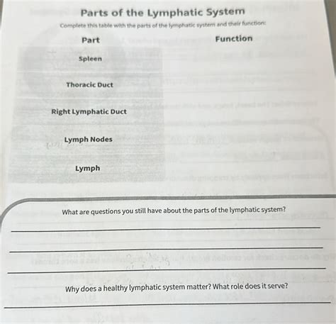 Solved Parts Of The Lymphatic System Complete This Table With The