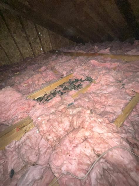 Hot Or Not Determining If Your Attic Insulation Needs An Upgrade