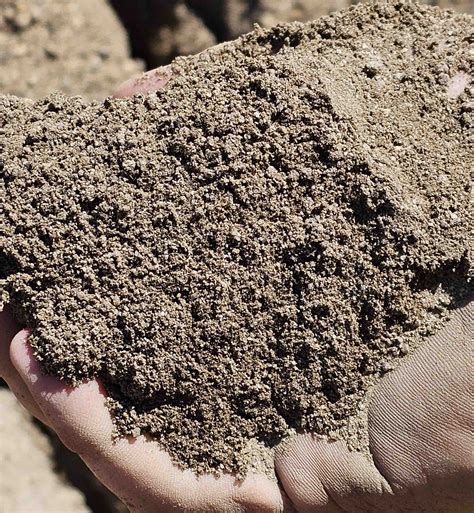 Topsoil Sandy Loam Kingaroy Quarry Supplies