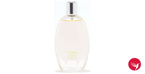 Zara Powdery Magnolia 2014 Zara perfume - a fragrance for women 2014