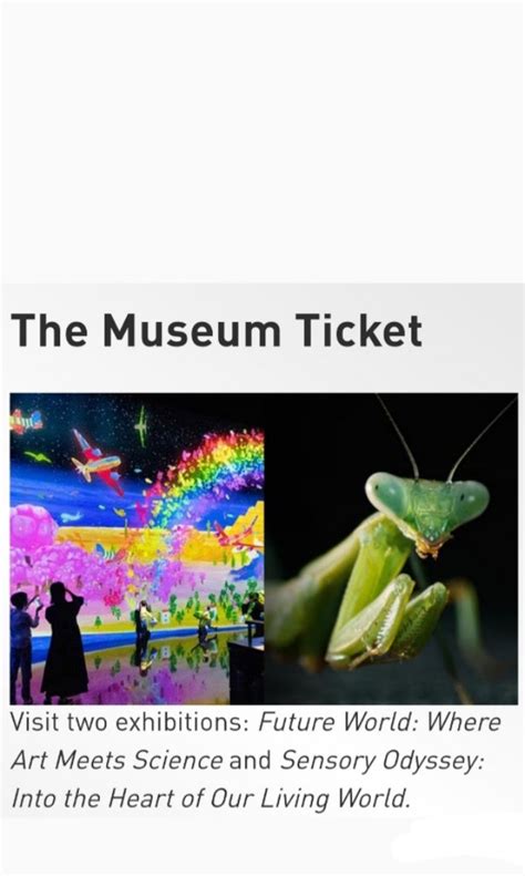 2 Exhibitions ArtScience Museum MBS Art Science MBS Tickets Vouchers