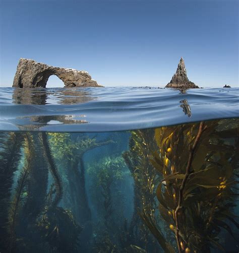 Underwater Photo Of Anacapa Arch And Bild Kaufen 71052029 Image