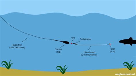 Forellen Montage F R Aktive Oder Passive Forellen