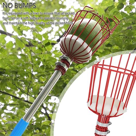 Ghojet Professional Fruit Picker Tool 75in Fruit Picking Pole With