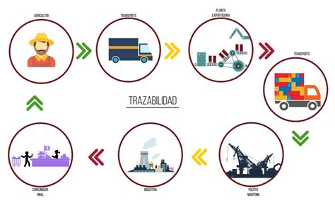 Inocuidad Seguimiento Y Trazabilidad