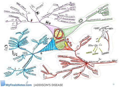 Addisons Disease Nursing Concept Map American Map