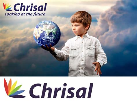 Est. 1989, Belgium Cleaning, hygiene and personal care products Pure ...