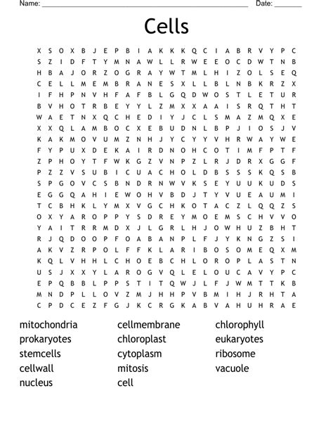 Cells Word Search WordMint