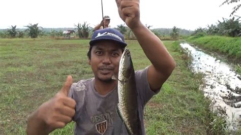 Pesta Strike Di Bulan Suci Ramadhan Spot Parit Pinggir Sawah Youtube