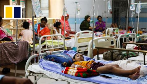 Bangladesh Records Over 1000 Dengue Fever Deaths In Nations Worst