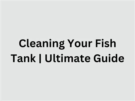 Cleaning Your Fish Tank | Ultimate Guide - Starterfishtank.com