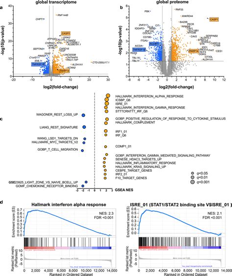 Gene Expression After Knockout Of Znf In Aggressive Lymphoma Cell