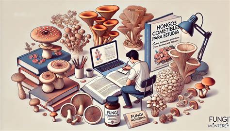 Sabores De Hongos Comestibles Una Exploraci N Gastron Mica Fungi