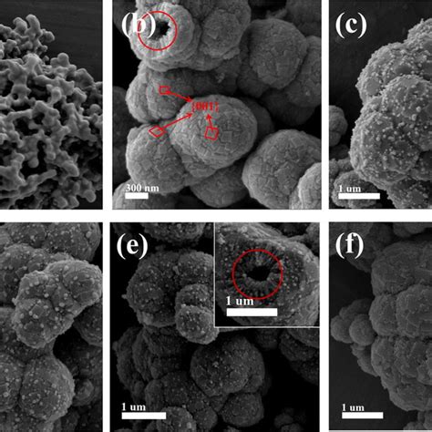 Xrd Patterns Of Ag2o A Pure Tio2 B And Different Molar Ratios Of