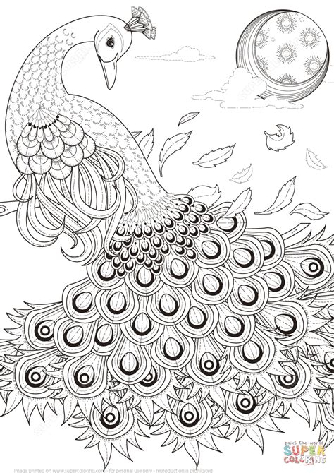 Realistic Peacock Coloring Pages At Free Printable Colorings Pages To Print