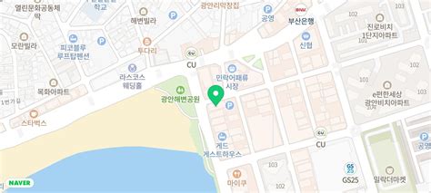 광안리맛집 광안리 갈삼구이 내돈내산 부산 갈미조개 삼겹살 삼합의 맛집 네이버 블로그